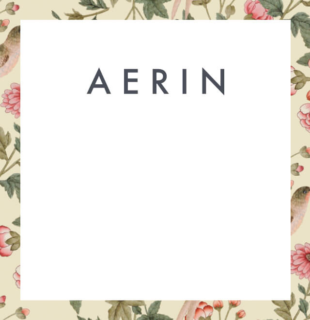 Aerin flower pattern border